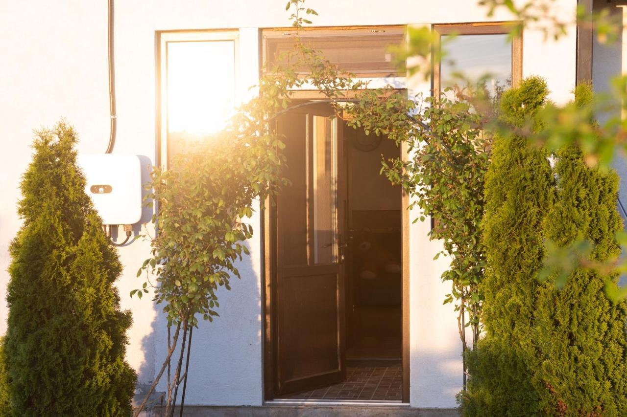 Casa Dumitrescu Hotell Năvodari Eksteriør bilde